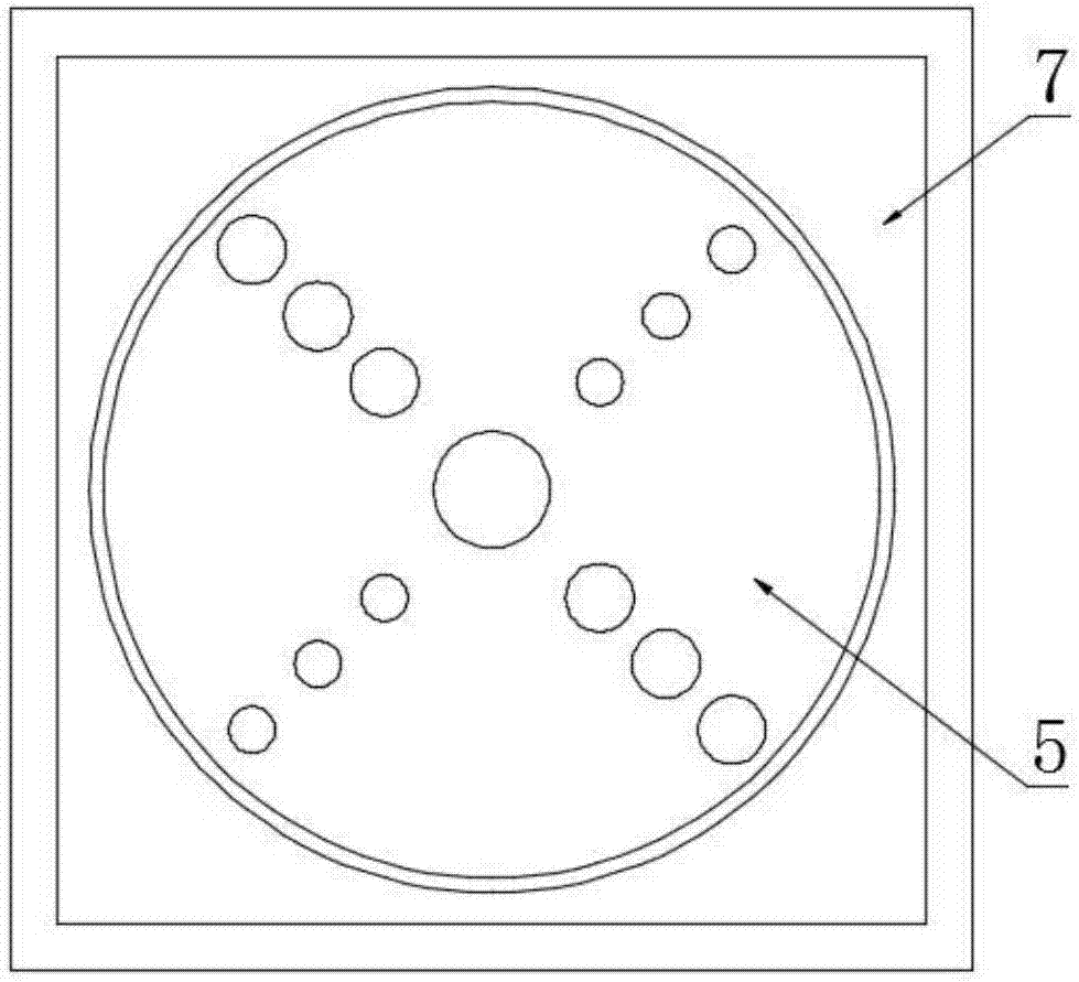 Three-stage sorting device for castanea mollissima