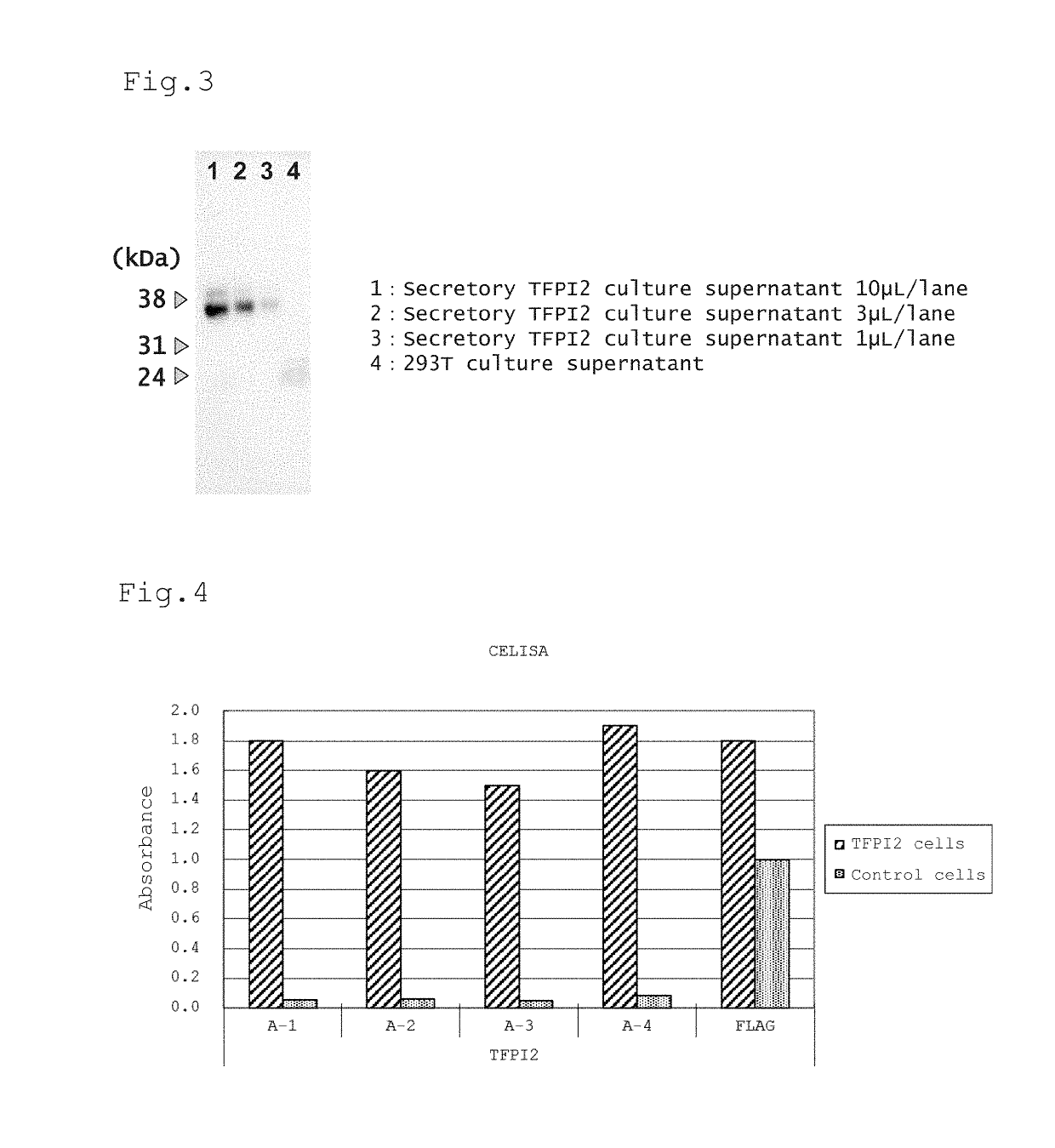 Method and reagent for detecting ovarian clear cell adenocarcinoma