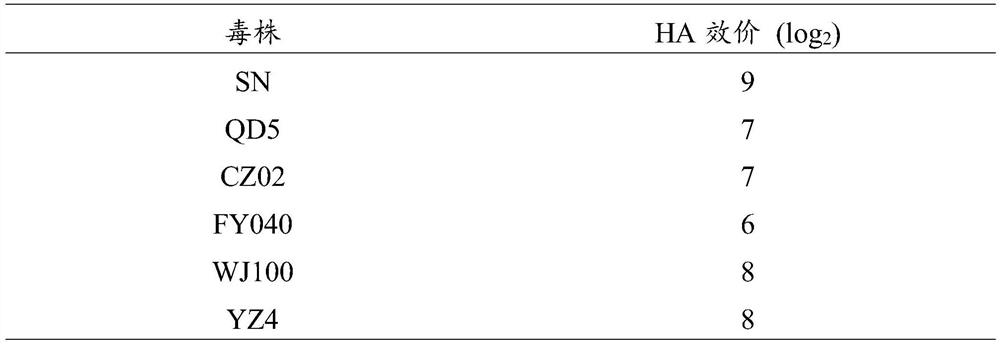 A vaccine strain rsha-△200 and its construction method and application