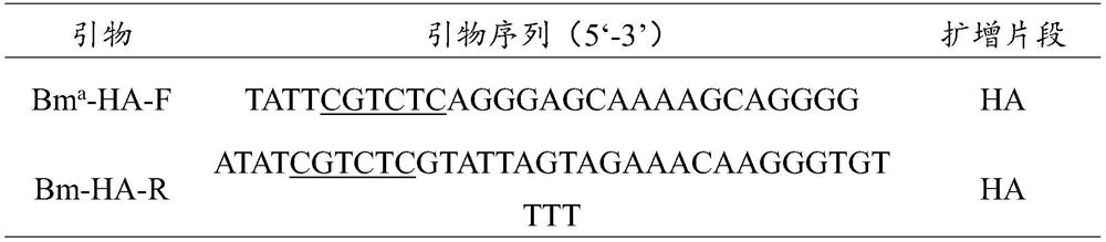 A vaccine strain rsha-△200 and its construction method and application