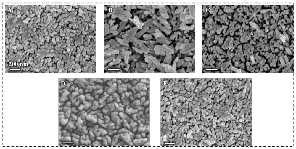 Ti3C2-MXene modified alpha-iron oxide photoelectrode and preparation method thereof