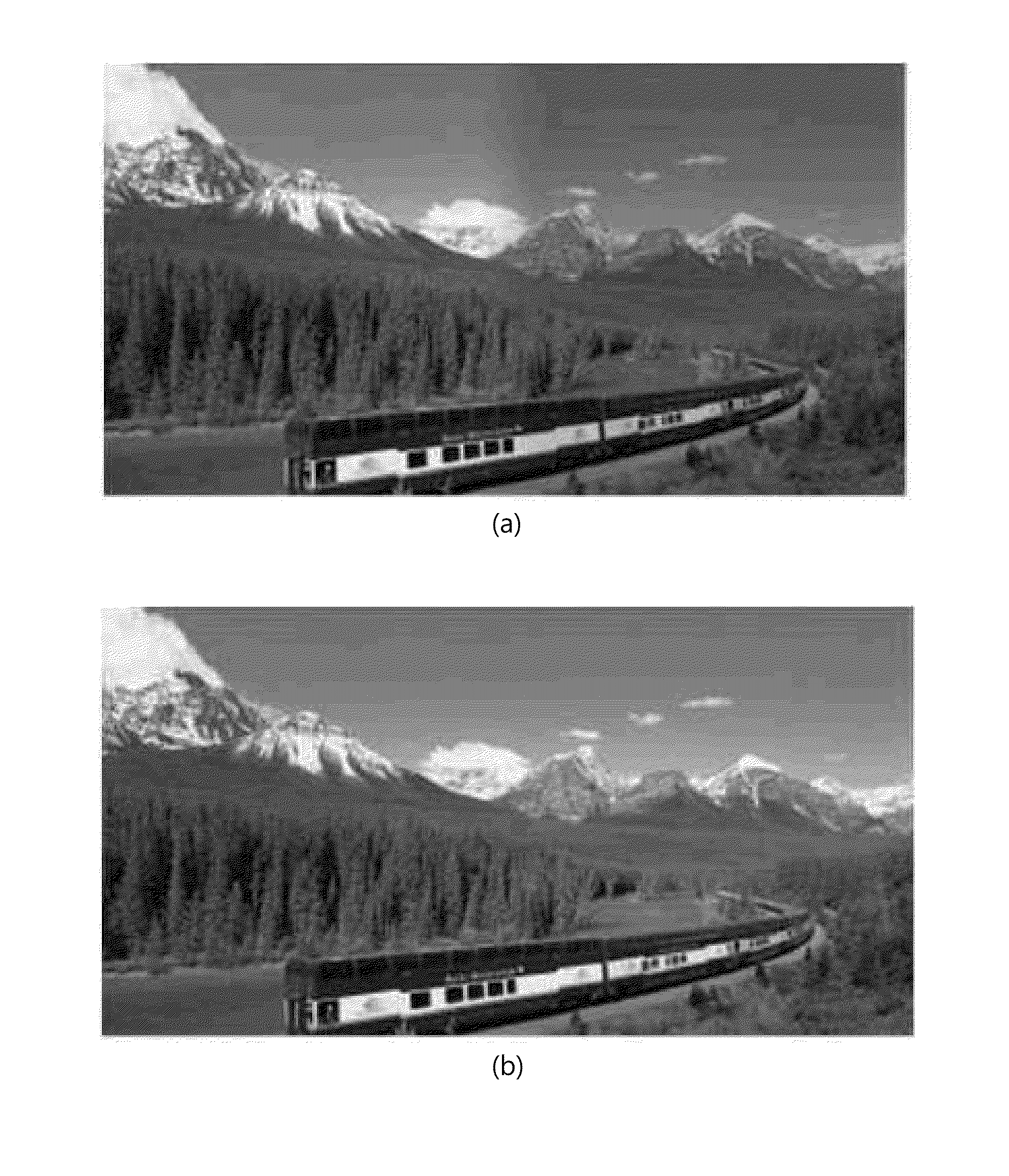Color correction apparatus for panorama video stitching and method for selecting reference image using the same