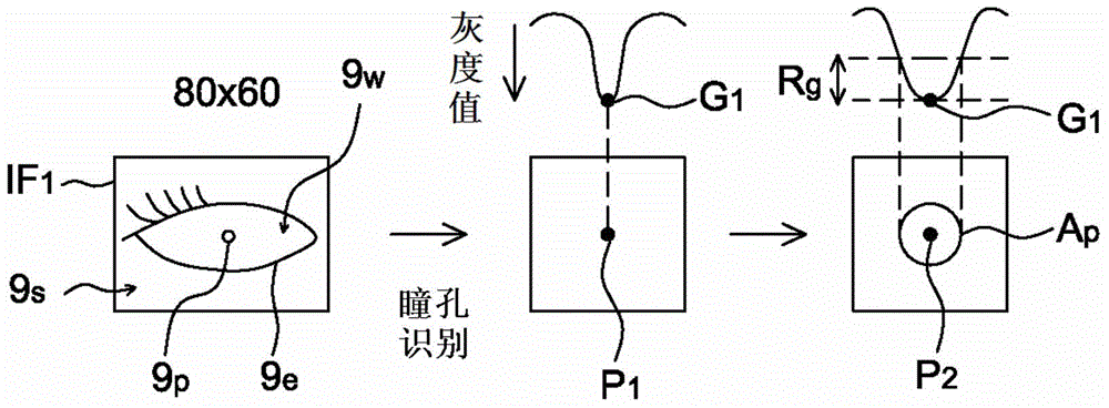 Automotive safety system and operating method thereof