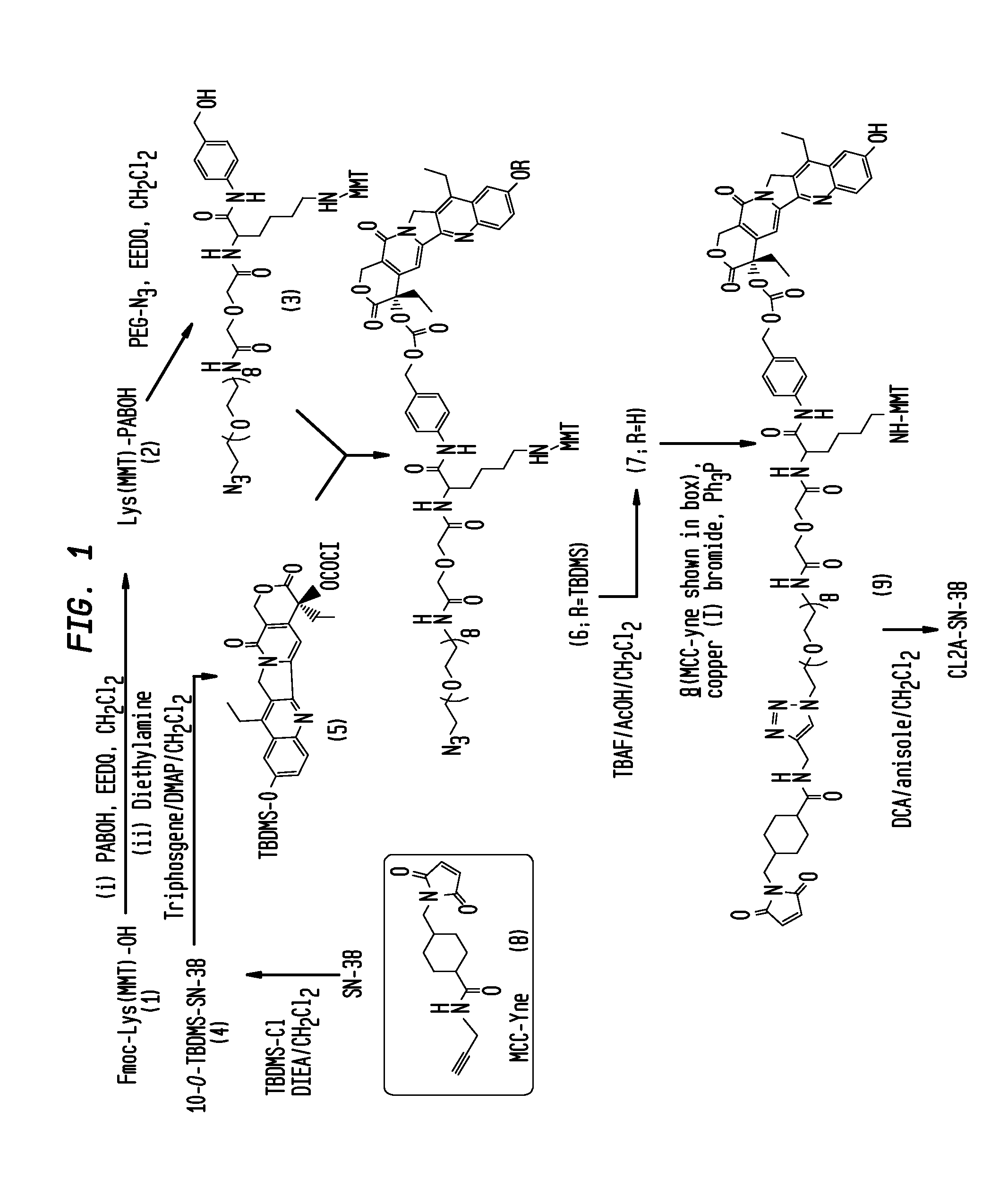 Antibody-sn-38 immunoconjugates with a cl2a linker