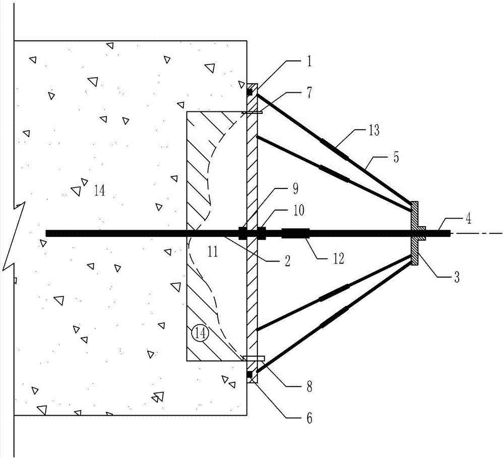 Repairing method for local defect of concrete in water level change region and repairing device