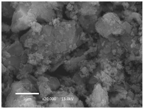 Catalyst for decomposing ozone and preparation method thereof