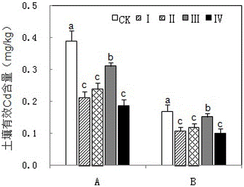 Method for reducing content of cadmium in middle rice