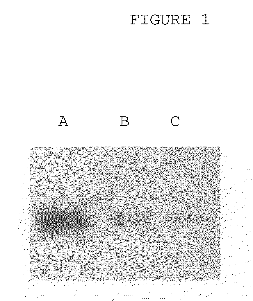 Method for treating systemic DNA mutation disease
