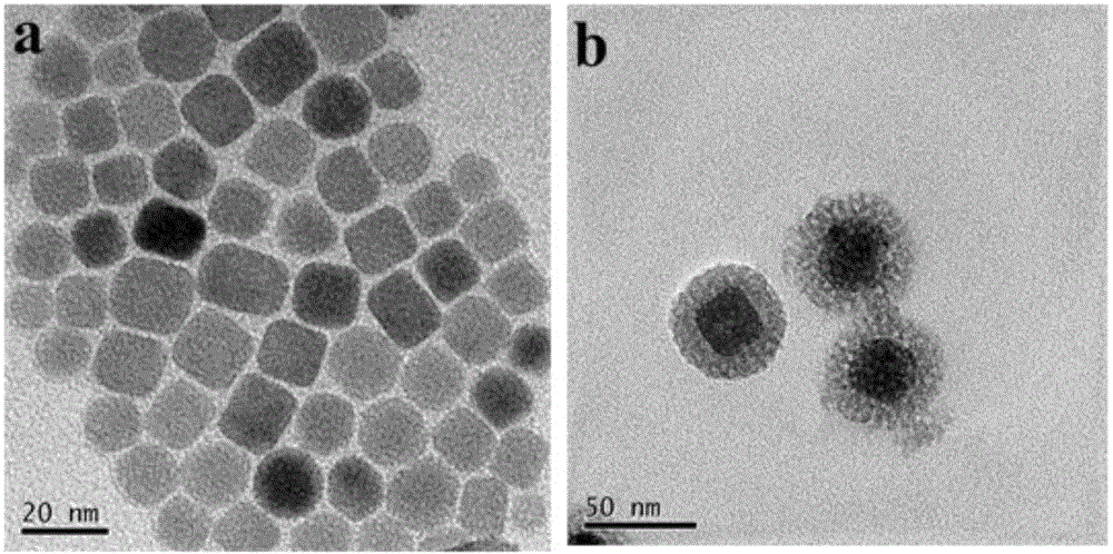 Amphiphilic polymer, preparation method, composite nano drug carrier and preparation method thereof