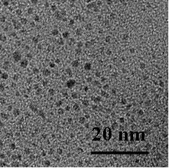 Preparing method of tantalum disulfide nanocrystal with good dispersity and high fluorescence intensity