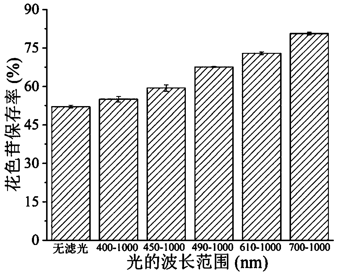 Color protection method of anthocyanin-rich purple rice wine