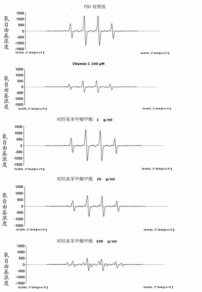 Pharmaceutical composition for the prevention or treatment of degenerative neurological brain disorders