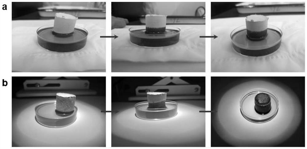 Magnetic nanofiber aerogel for heavy oil separation
