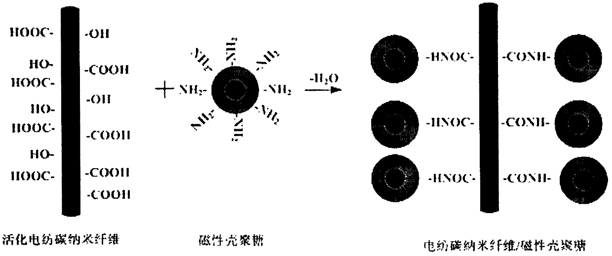 Preparation method of novel magnetic nano biosorption material