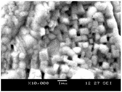 Preparation method of ferrite europium antiferromagnetic ceramics