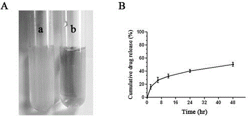 Preparation method and application of curcumin chitosan-stearic acid graft micelle