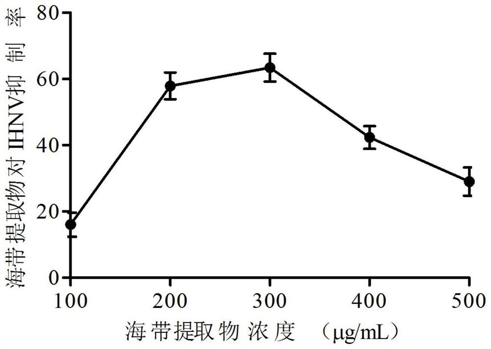 Preparation and application of anti-IHNV kelp extract