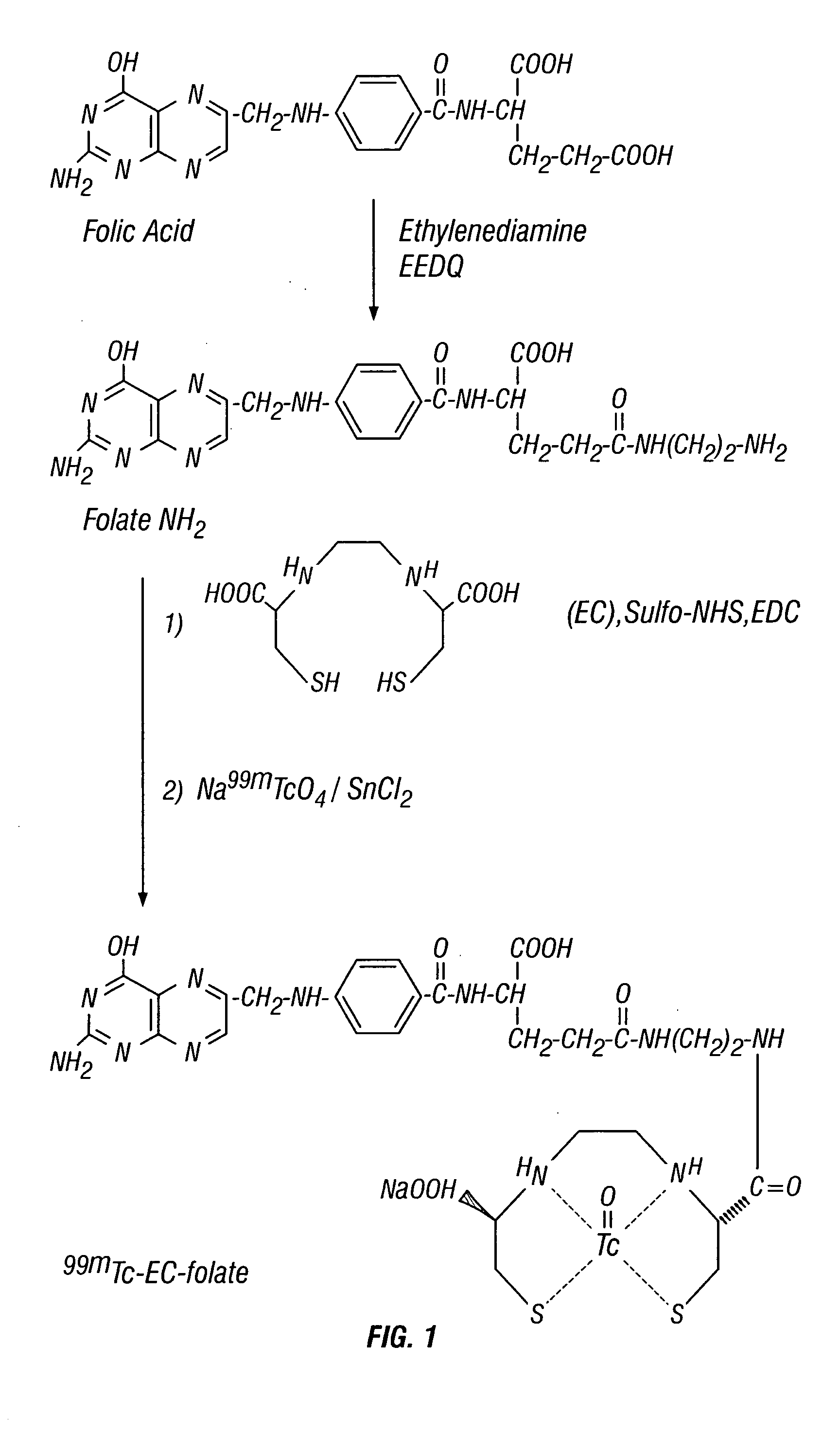 Ethylenedicysteine (EC)-drug conjugates, compositions and methods for tissue specific disease imaging