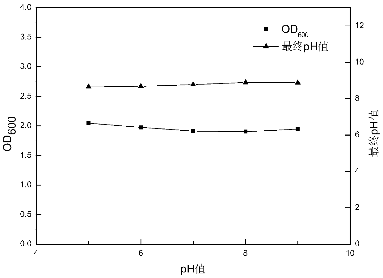 A strain of Bacillus licheniformis resistant to high temperature degradation of crude oil to produce emulsifier and its application