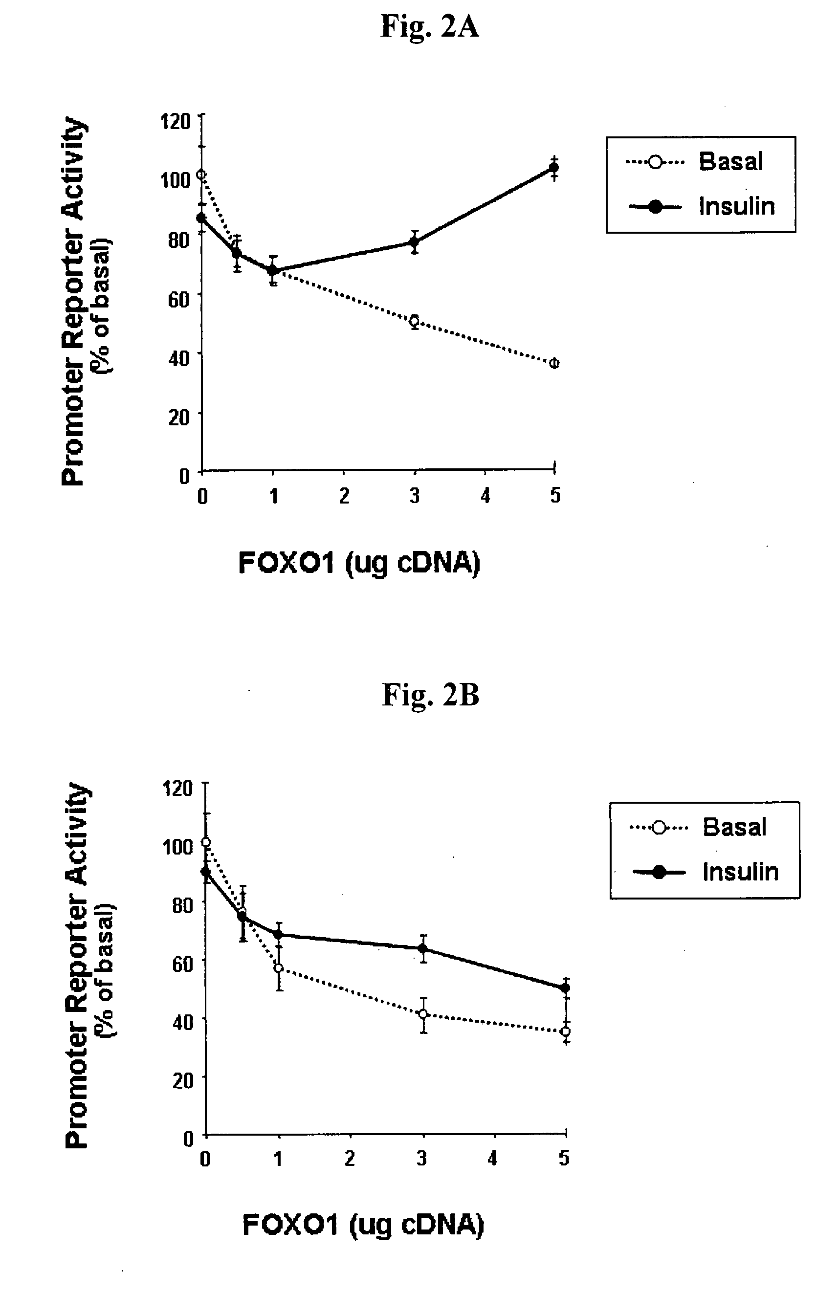 Modulation of PPARgamma2 gene promoter by FOXO1
