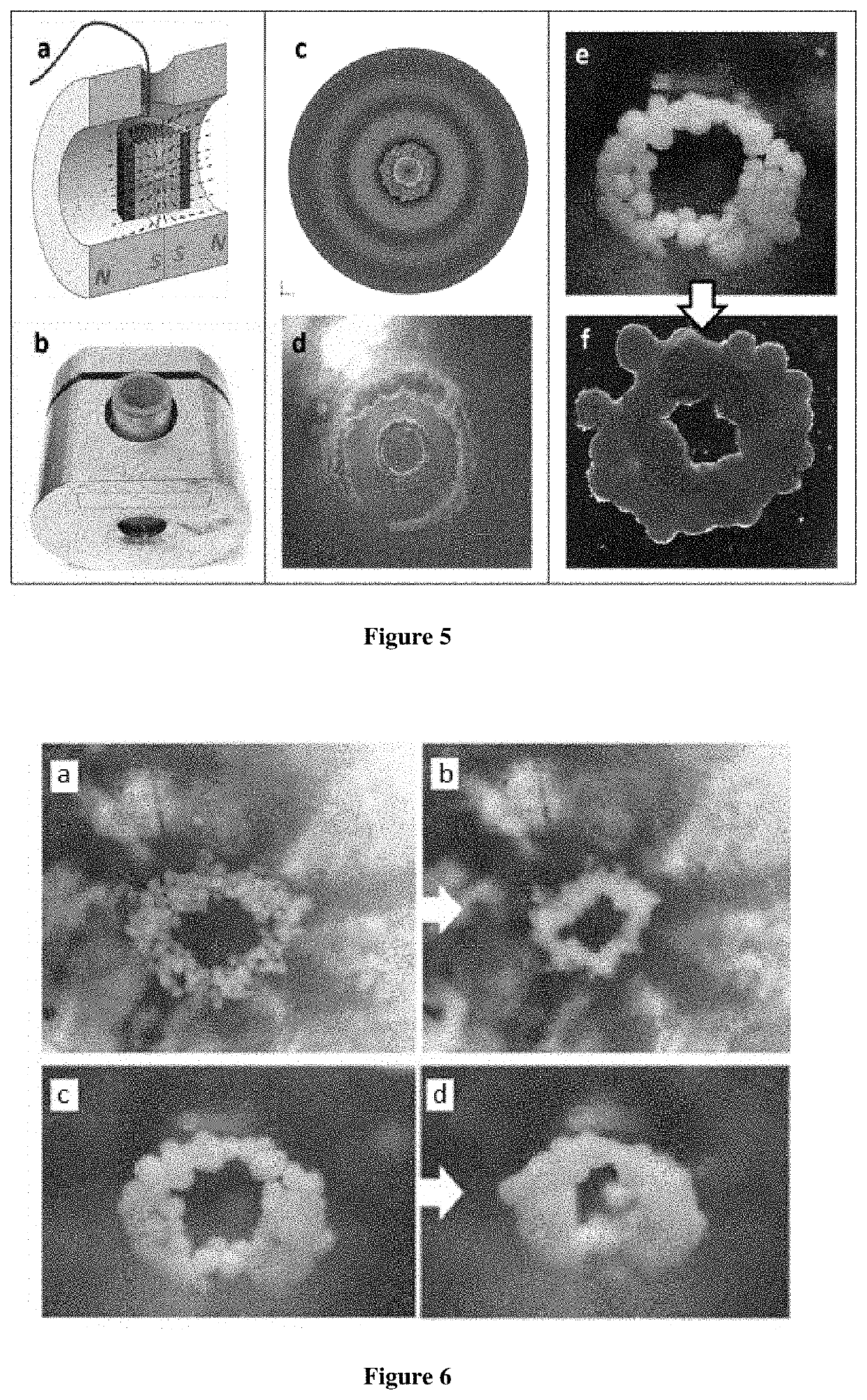 Apparatus and method for levitational biofabrication of organ and tissue engineered constructs using tissue spheroids and magnetoacoustic bifield