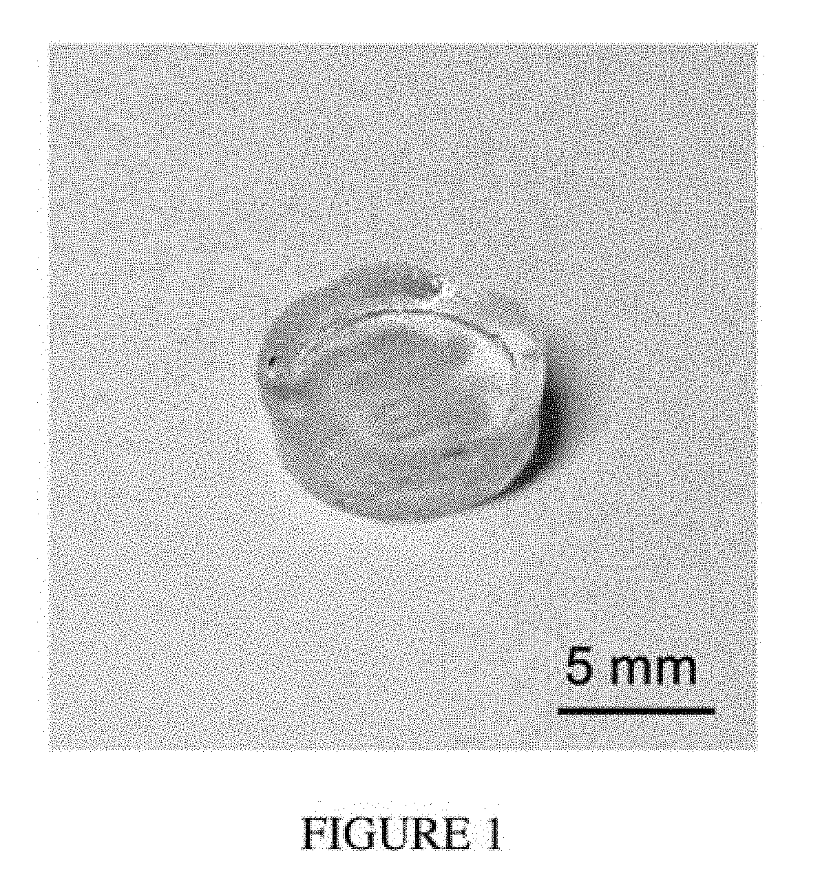 Drug delivery compositions and uses thereof