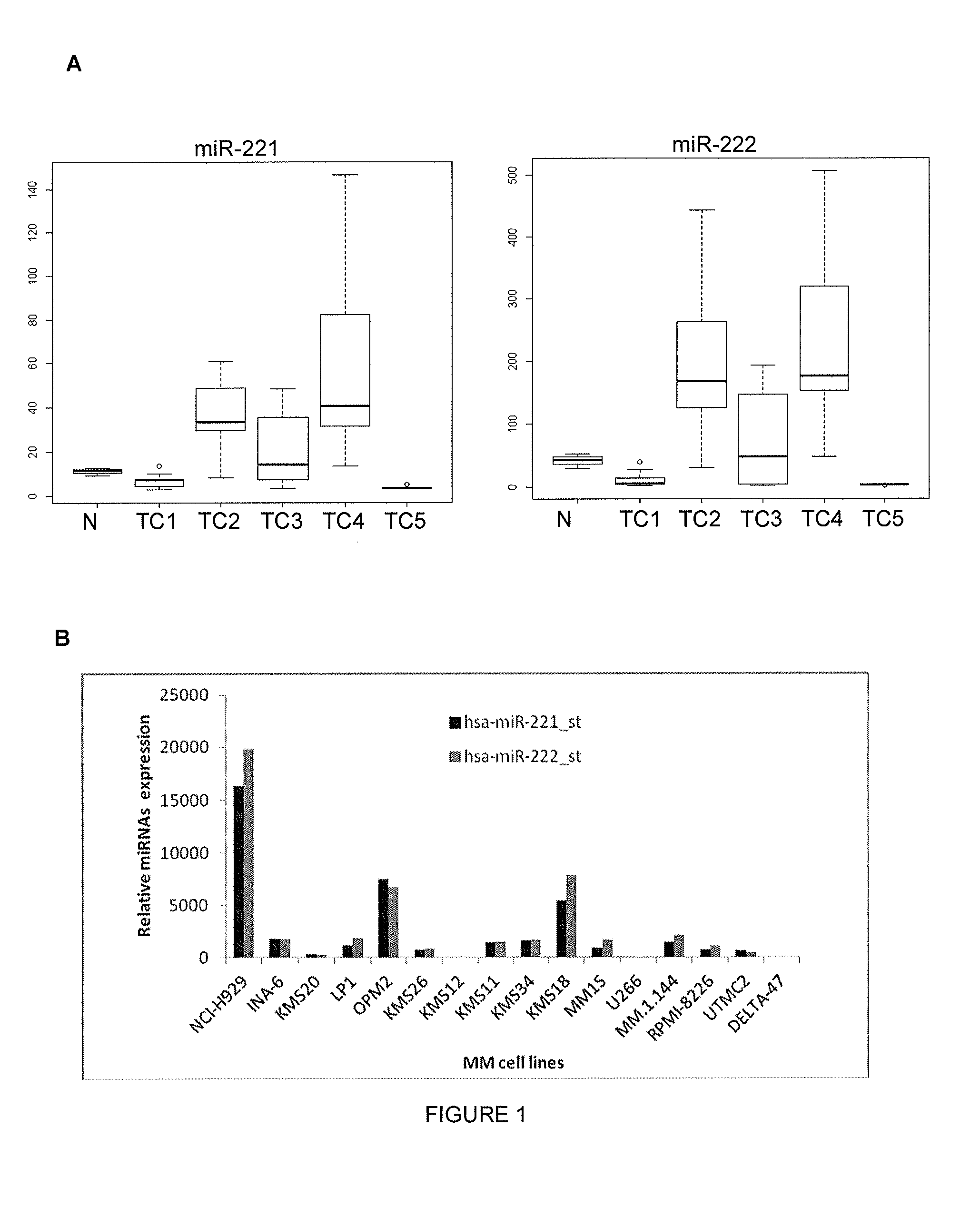 Inhibitors of mirnas 221 and 222 for Anti-tumor activity in multiple myeloma