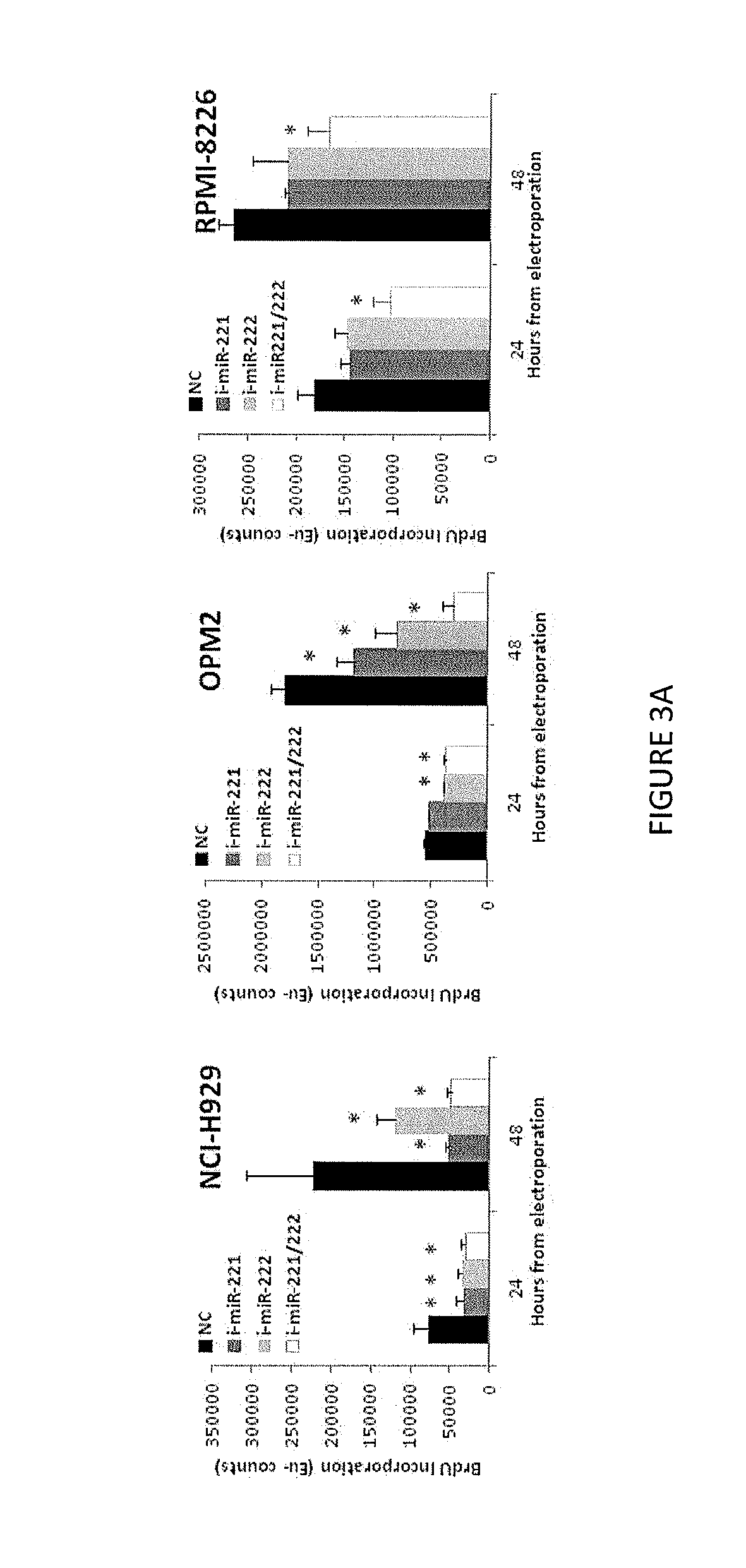 Inhibitors of mirnas 221 and 222 for Anti-tumor activity in multiple myeloma