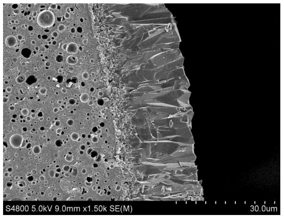 Core-shell molecular sieve coated catalyst and preparation method thereof