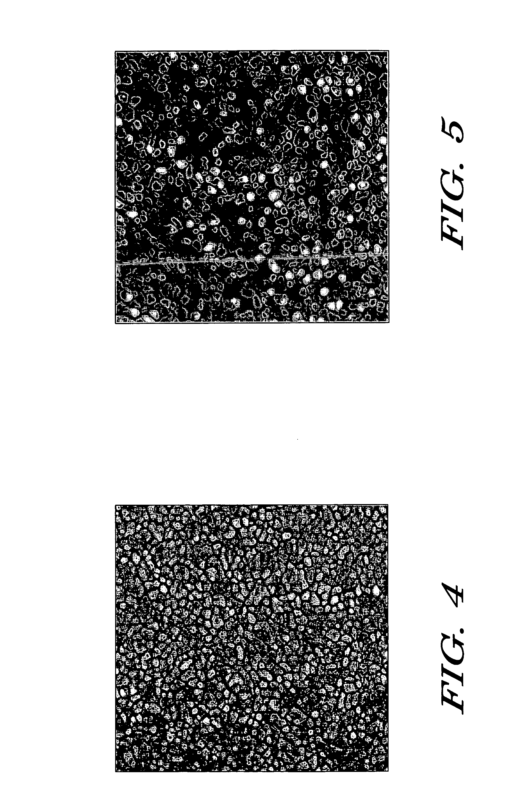 Electronic device including dielectric layer, and a process for forming the electronic device