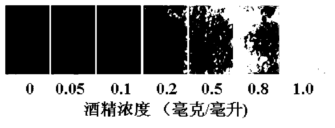 Preparation method of immobilized enzyme nanofiber membrane for detecting alcohol content in spit