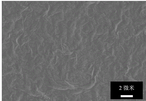 A kind of preparation method of layered molybdenum sulfide nanosheet molecular separation membrane