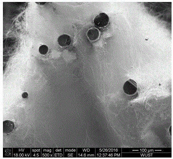 Carbon material surface silicon carbide nanowhiskers and preparation method thereof