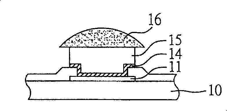 Semiconductor device has conductive projection and its manufacturing method