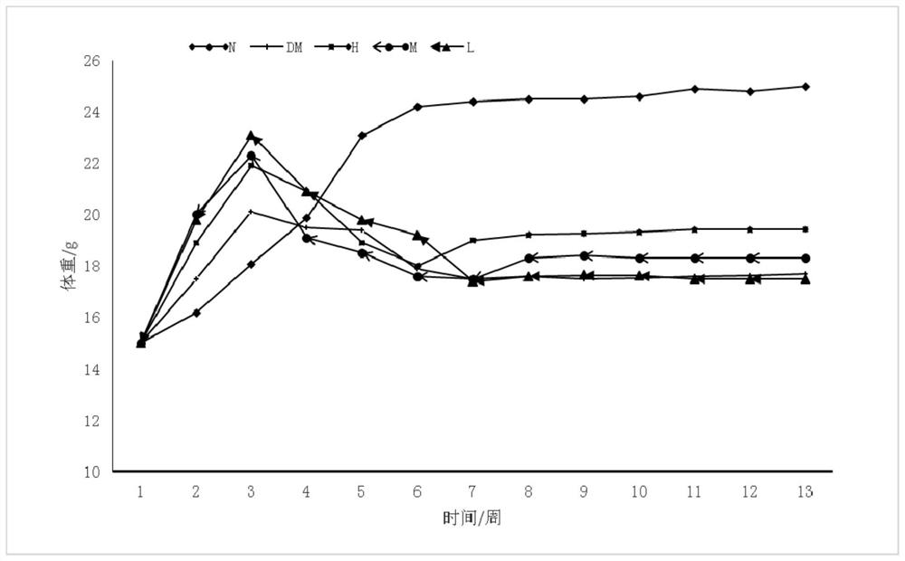 Lactobacillus reuteri and application thereof in reducing lipopolysaccharide concentration and improving insulin resistance