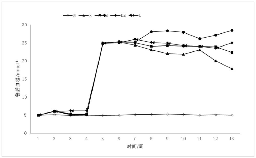 Lactobacillus reuteri and application thereof in reducing lipopolysaccharide concentration and improving insulin resistance