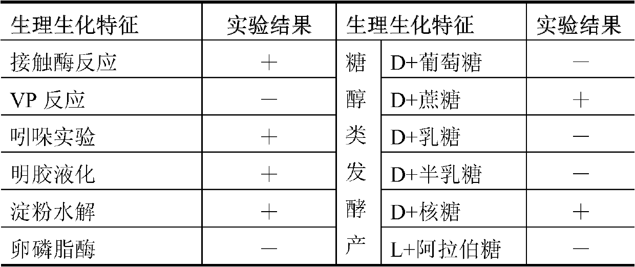 Sclerotinia sclerotiorum-antagonizing nitrogen-fixing spore bacterium and its application