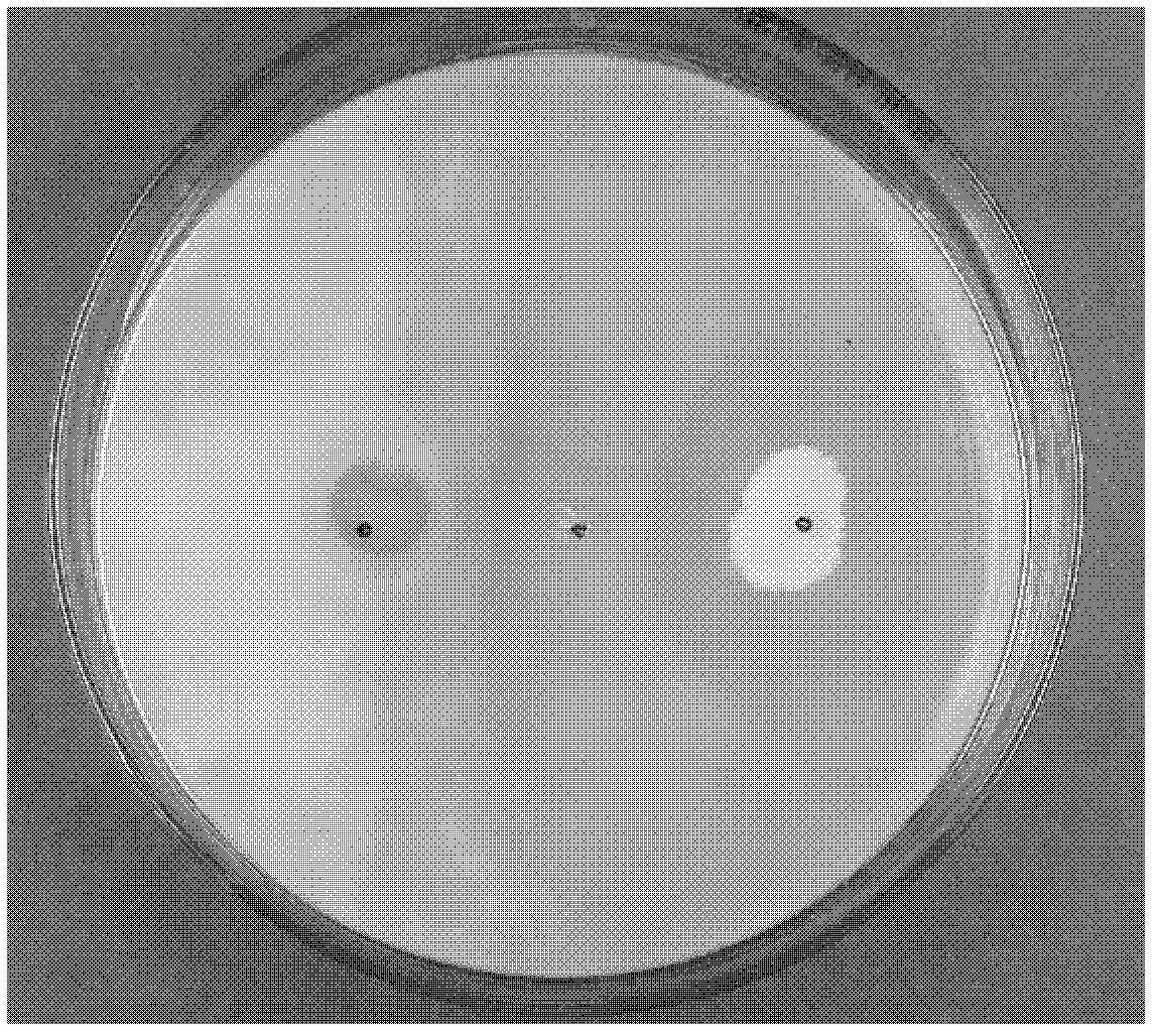 Sclerotinia sclerotiorum-antagonizing nitrogen-fixing spore bacterium and its application