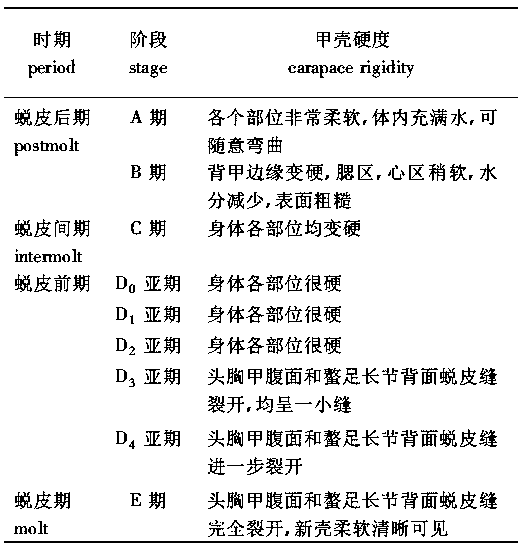 A method of producing soft-shell crabs using wild crabs