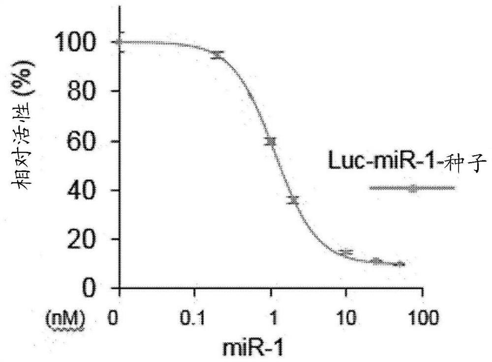 Modified nucleic acid inhibiting micro rna, and use thereof