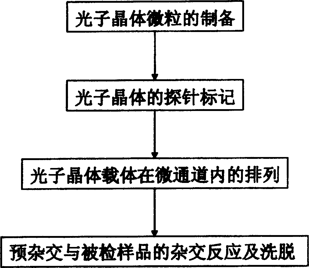 Micro channel array type biological chip by utilizing photon particle coding and method of use thereof