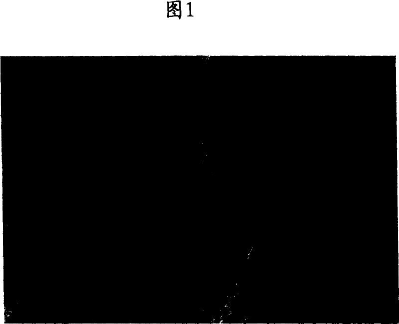 Treating material for polluted water, method for production thereof and use thereof