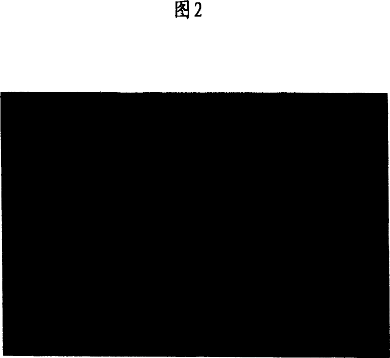 Treating material for polluted water, method for production thereof and use thereof