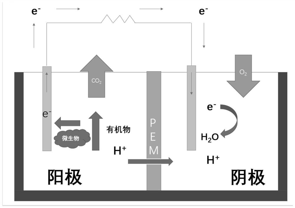 A kind of fe@sio  <sub>2</sub> Catalyst and its preparation method and application