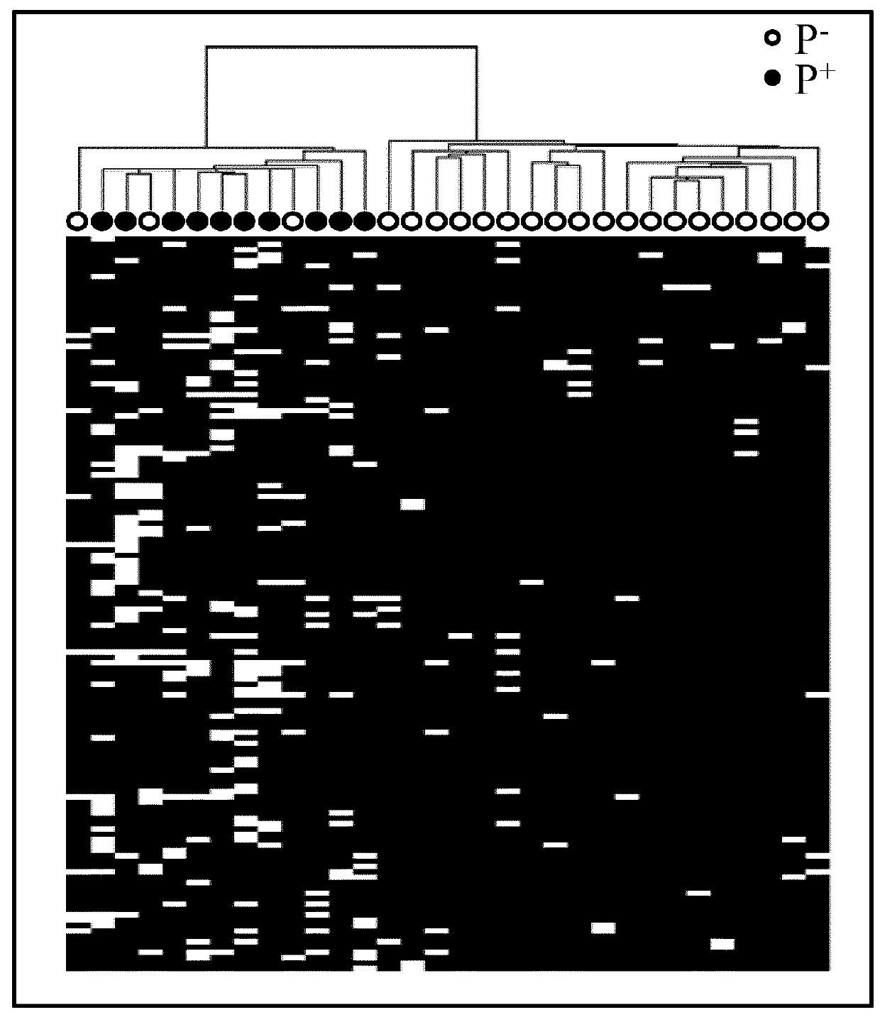 Methods for assessing endometrial receptivity of a patient after controlled ovarian hyperstimulation