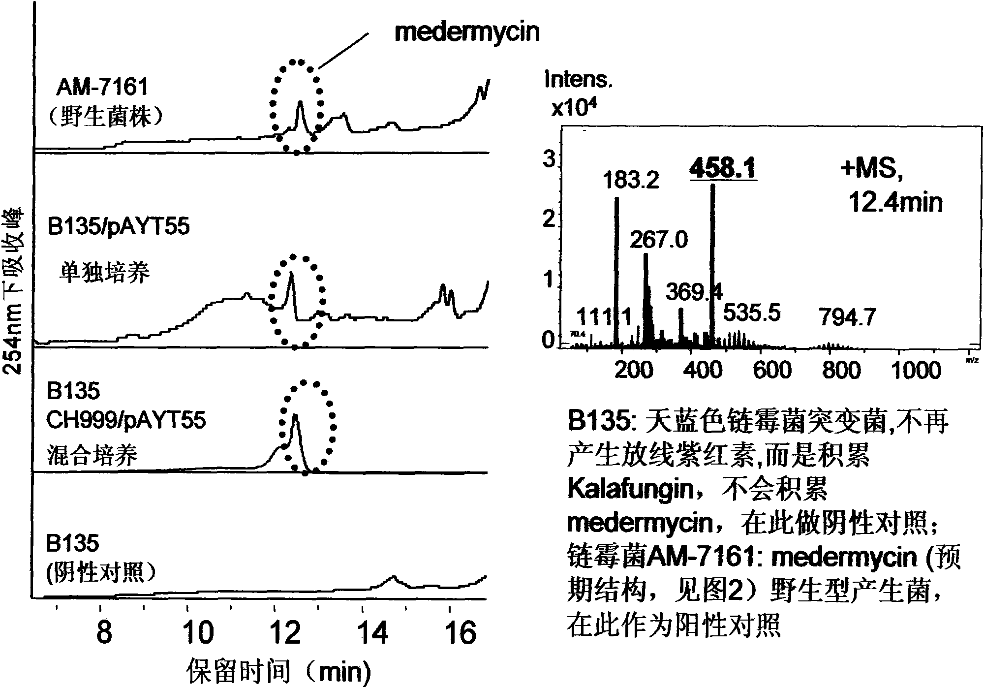 Construction and application of multiple gene coexpression system containing angolosamine glycosylsynthetase and glycosyltransferase