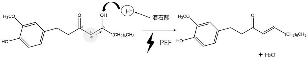 Pulse electric field treatment preparation method of gingerol with high content of 6-shogaol