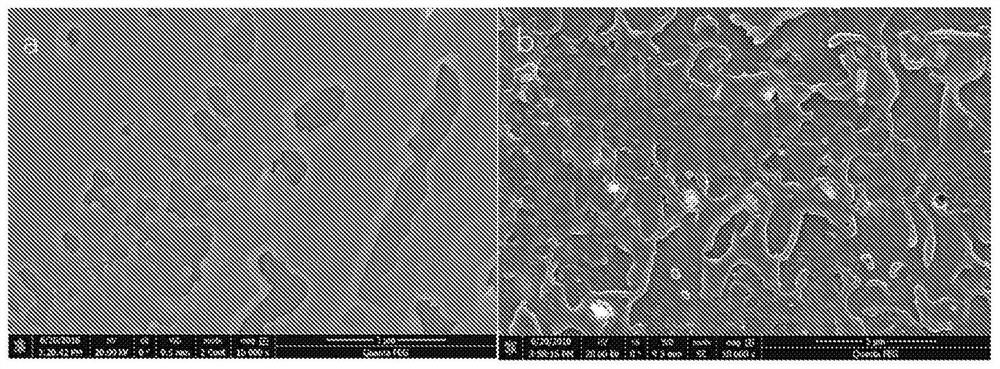 Thermoplastic compositions, methods for making same, and articles made therefrom