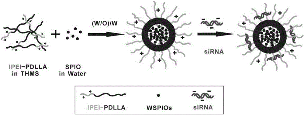 Nanometer vesicle capable of simultaneously achieving RNA interference and MR imaging and preparation method and application thereof