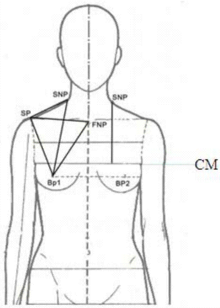 Vertical face perpendicular positioning device and three-point one-face human balance measuring method for garments